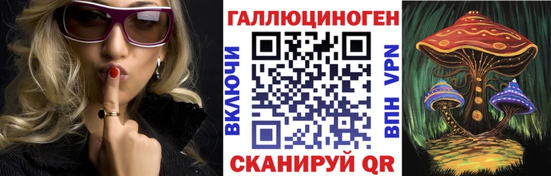закладки  Буинск  Галлюциногенные грибы MAGIC MUSHROOMS 